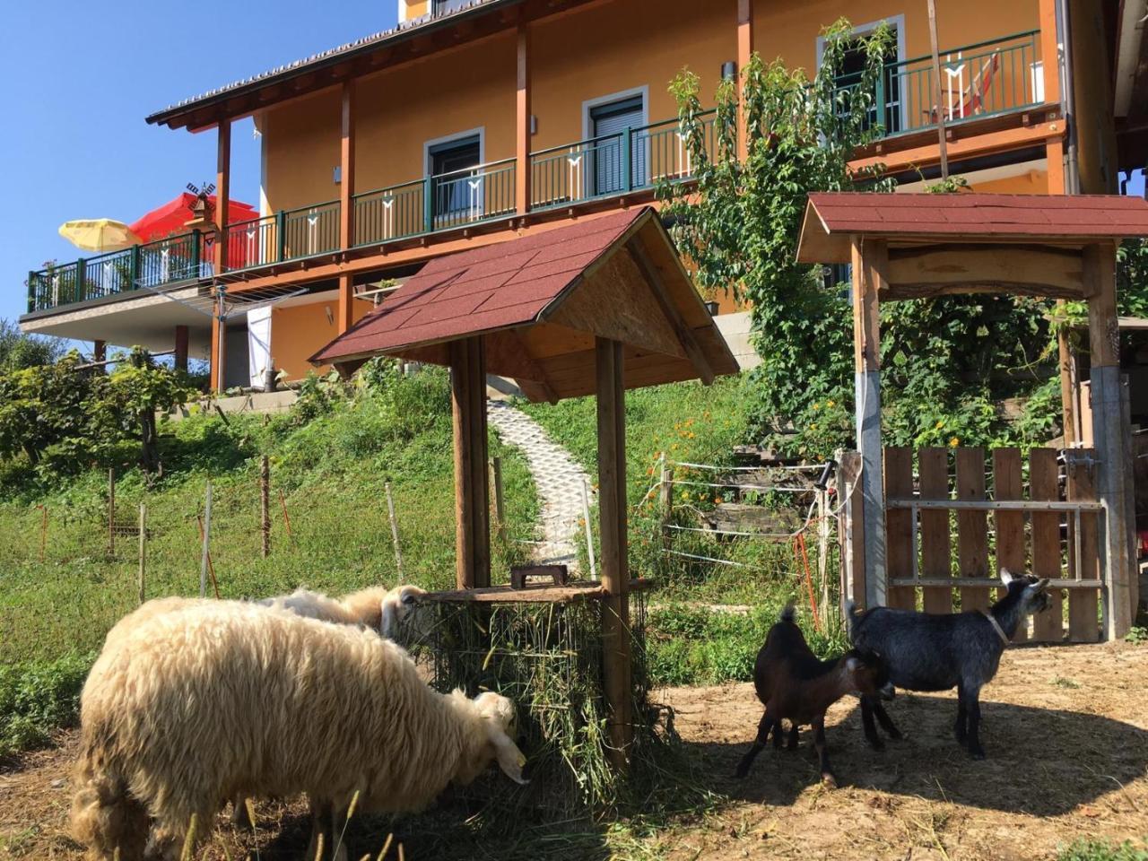 Gaestehaus Schmid Sankt Johann im Saggautal Kültér fotó